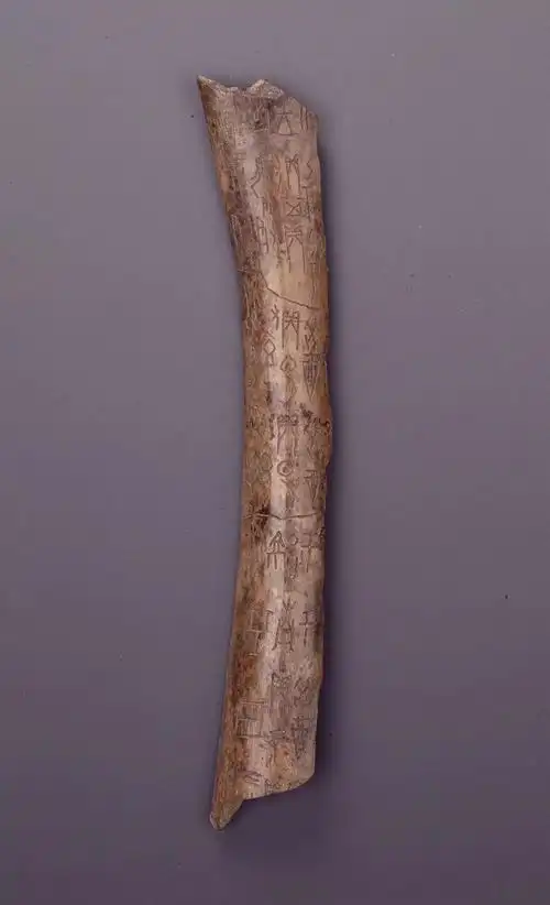 国际铁人三项赛本周末举行,16条公交线路临时让行