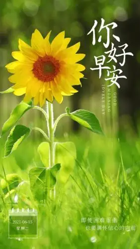 2021早安问候祝福图片集锦清晨问候祝福朋友的早安美图