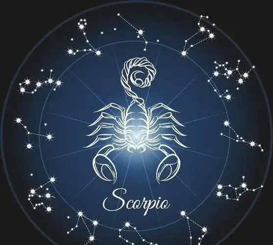 高冷的天蝎座,最佳的婚恋匹配,原来是这两个星座