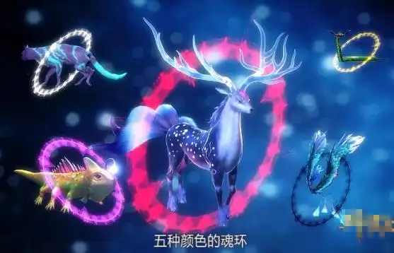 斗罗大陆是一个只有武魂的世界,在这里每一个人都要进行武魂的修炼.