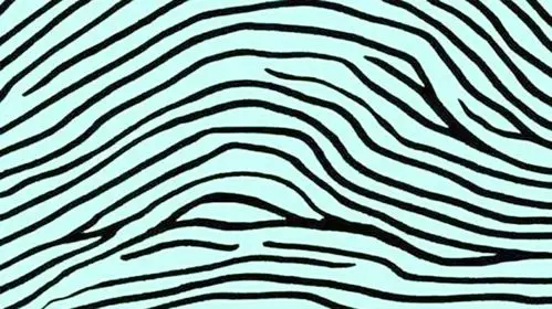 孔雀眼指纹;一斗穷二斗富什么意思