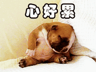 祖国聚宝盆·神奇柴达木欢迎您!