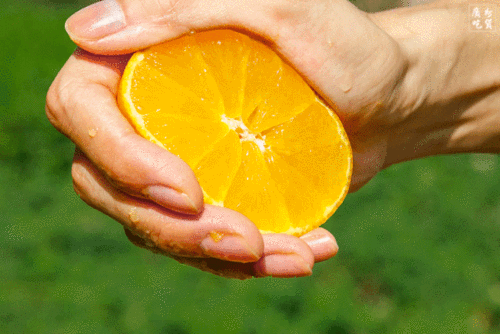 35元一杯的水果茶满杯都是料我在公司楼下买到了