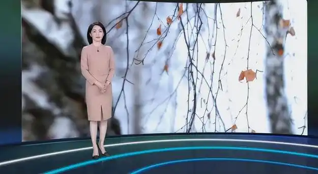 二人就都到了实习的时候了,他们约定着一起朝着更好的方向发展;杨丹