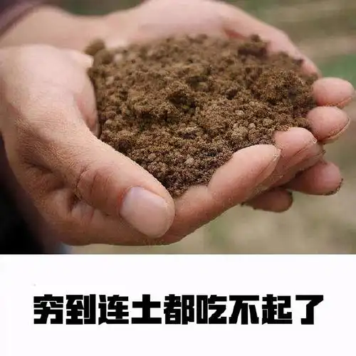 吃土表情包合集-搜狐大视野-搜狐新闻