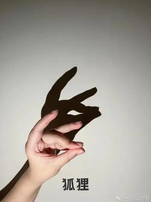 趣味儿童手影游戏快关上灯跟宝宝玩~一秒拉回童年有没有!