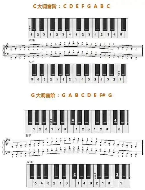 12个大调音阶及左右手指法图示 - 钢琴奶爸的blog