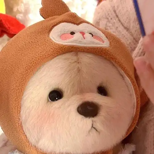 莉娜熊这小熊崽子也太可爱了吧