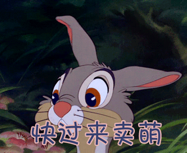 萌快过来卖萌gif动图_动态图_表情包下载_soogif
