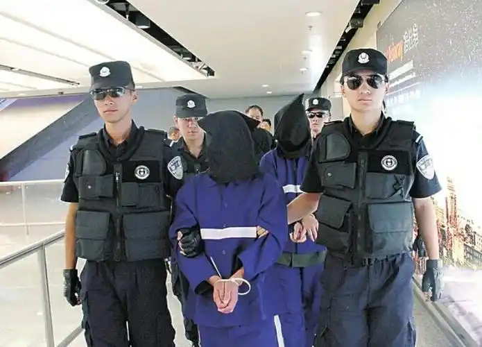 河北省成功抓获首名潜逃境外重大经济犯罪嫌疑人