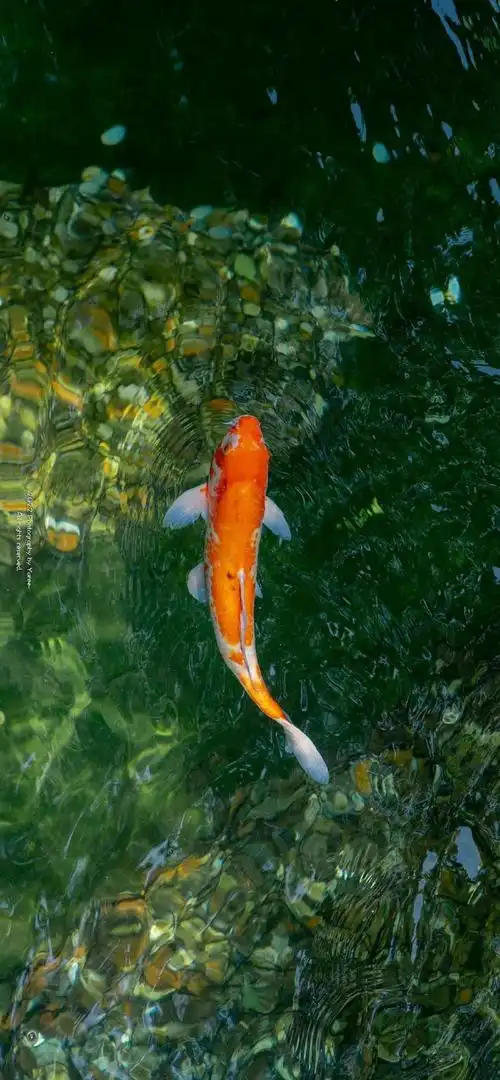 690_1490竖版 竖屏