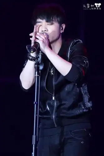 2014华晨宇2013快乐男声全国巡演杭州站_高清图片大全-爱豆app