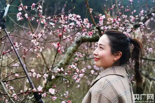 江西瑞昌:女人绽放在桃花源