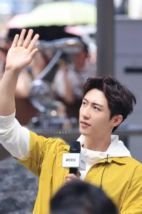 黄景瑜ecco代言人