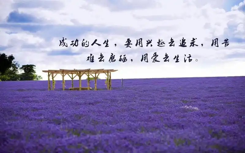 治愈系,正能量,励志,说说,句子,文字,治愈,电脑壁纸,壁纸正能量的唯美