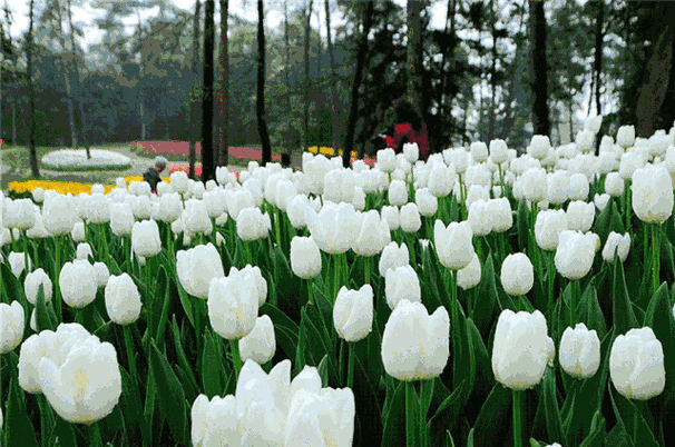 639_424gif 动态图 动图