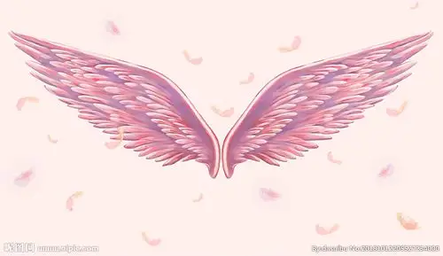 粉色3d立体白色天使翅膀墙纸图片