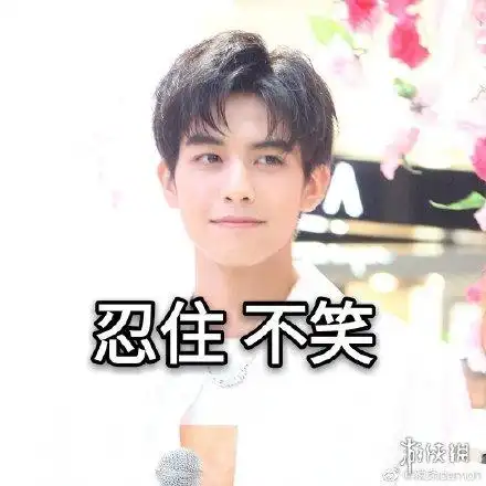 宋威龙表情包汇总 下一站是幸福宋威龙元宋表情包大全一览