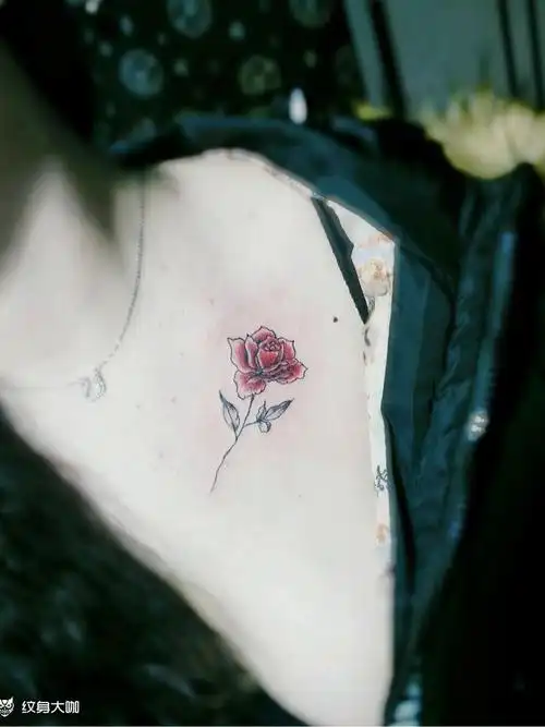小清新玫瑰_纹身图案手稿图片_东川的纹身作品集