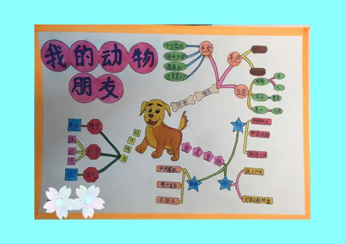 《我的动物朋友》思维导图.