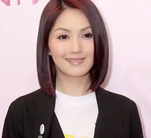 【图】杨千嬅大城小爱歌词 揭秘成名之路