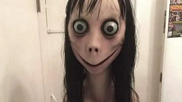 躺病床狂念「会听从主人」 母:momo挑战害的