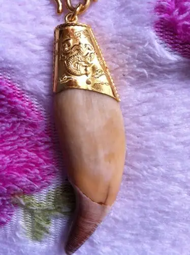 请问谁知道我这个熊牙是真的还是假的?值多少钱?