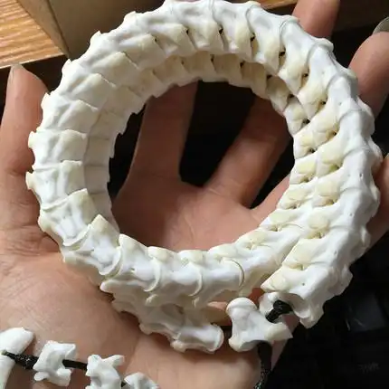 蛇骨手串天然文玩津原创真蛇骨手链