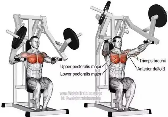 最全的肌肉训练动作图解,简单易懂,从此撸铁不求人!