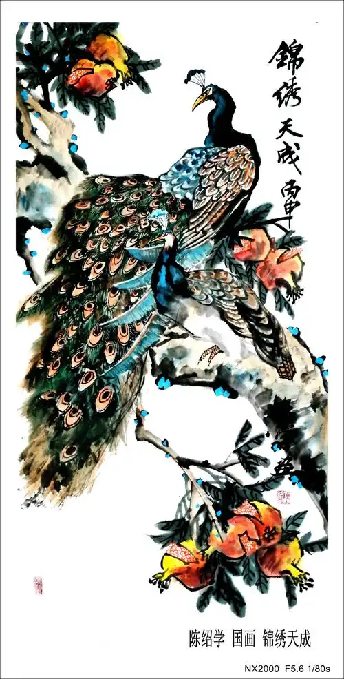 陈绍学 花鸟孔雀《 锦绣天成》 - 陈绍学 国画 孔雀 - 相册 - 陈绍学