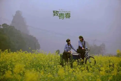 有没有什么成语表示我们还年轻,正值青春的成语