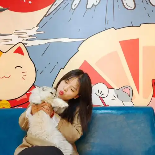 312漫喵猫咖07家庭聚会6969