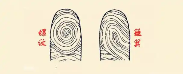 你有几个簸箕?几个螺?