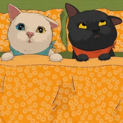 可爱二次元手绘黑猫白猫情侣动物头像