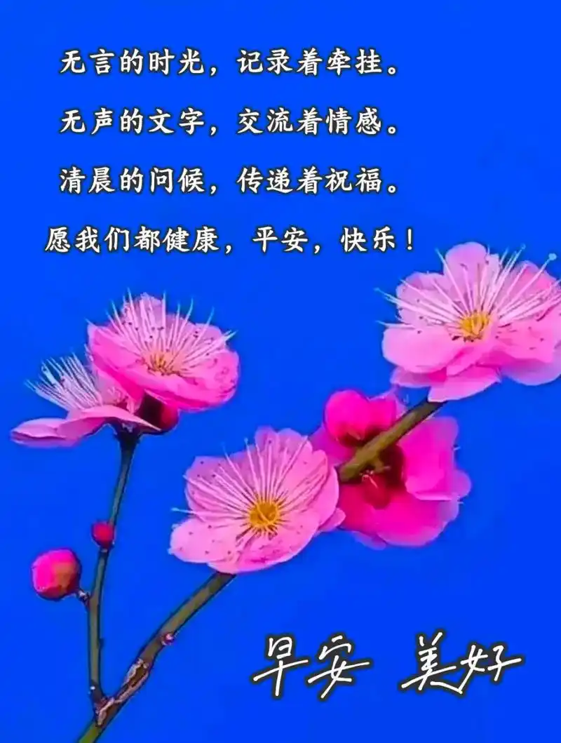 早上好 无言的时光,记录着牵挂.无声的文字,交流着情感.