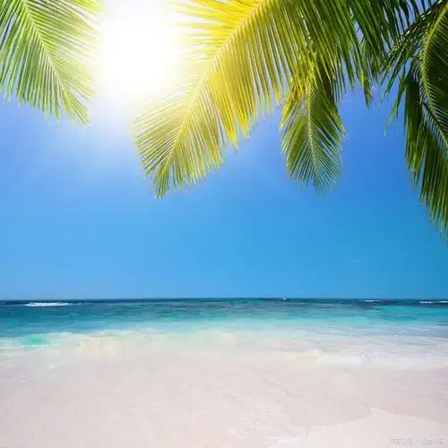 去经历人生的起起落落,去体验各种情感,去承受所有的后悔与痛苦.