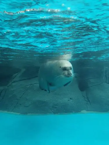 其它 童乐儿童之家萌宝海洋馆毕业旅行 写美篇可爱的动物和我们见面啦