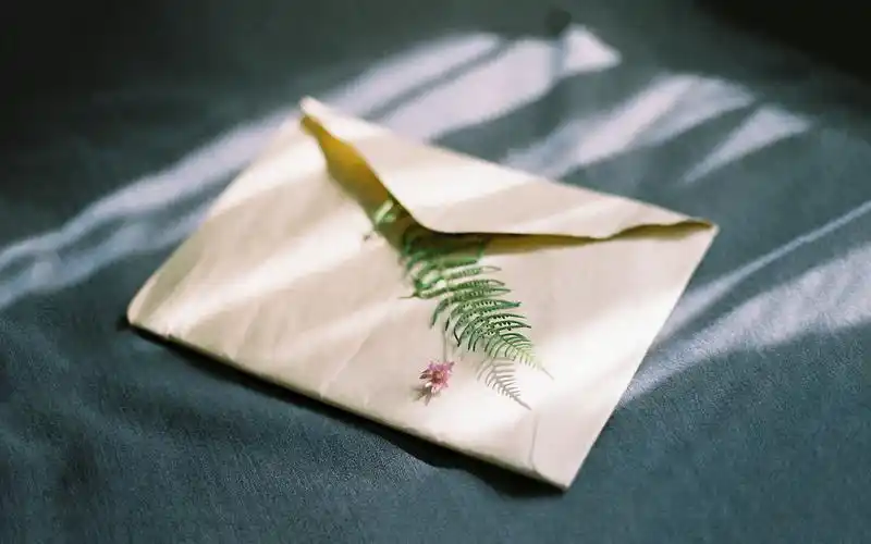 简约唯美静物图片高清桌面壁纸下载4_风格壁纸_壁纸下载_美桌网