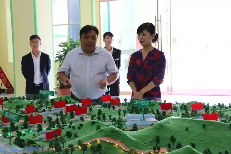 大理州人民政府雪琳副州长一行到云南顺丰洱海环保科技