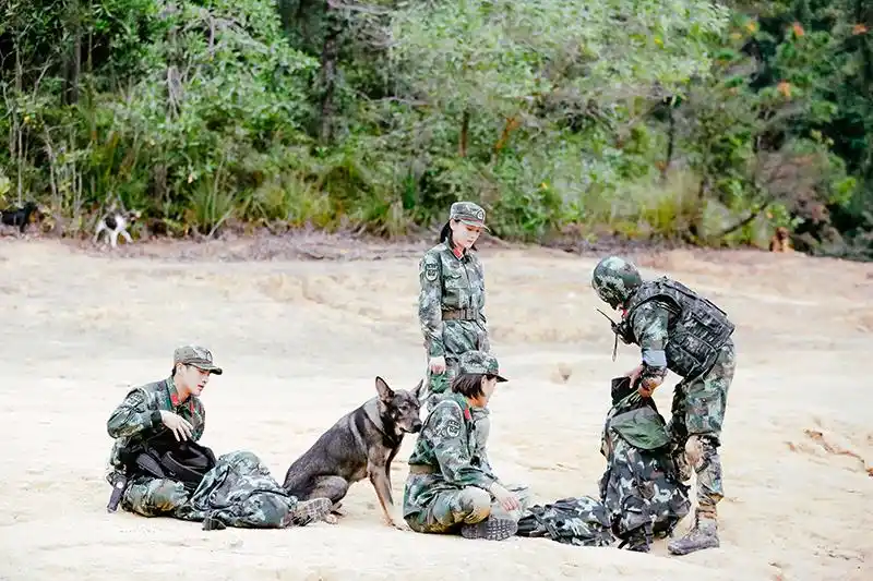 《奇兵神犬》泥潭救犬波折不断,杨烁匍匐前进