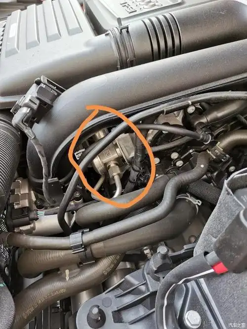 楼主,高压油泵是这个吗?