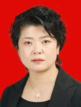 王丽的个人履历