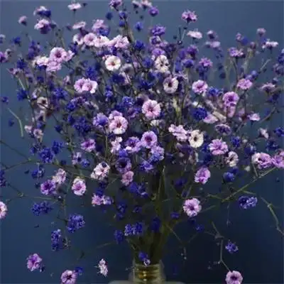 适合做头像的花束唯美头像 2022最招财清新淡雅的微信头像_风景头像