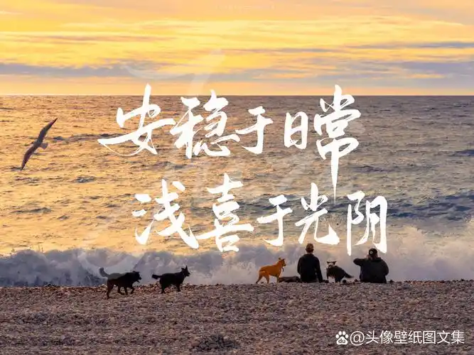 励志99ipad壁纸/背景图 深夜和清晨 都请用力去生活 #电脑壁纸