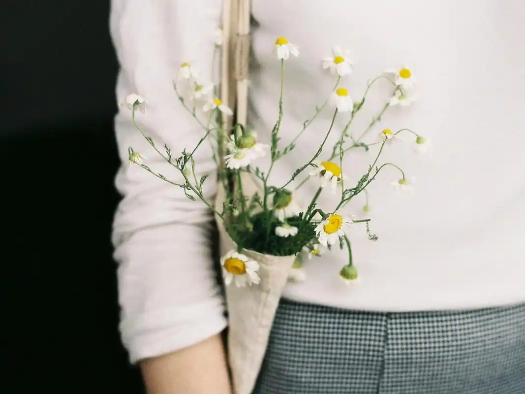 小花,背包,女孩,森系,安静,文艺,意境,elifarafyalim小花壁纸图片