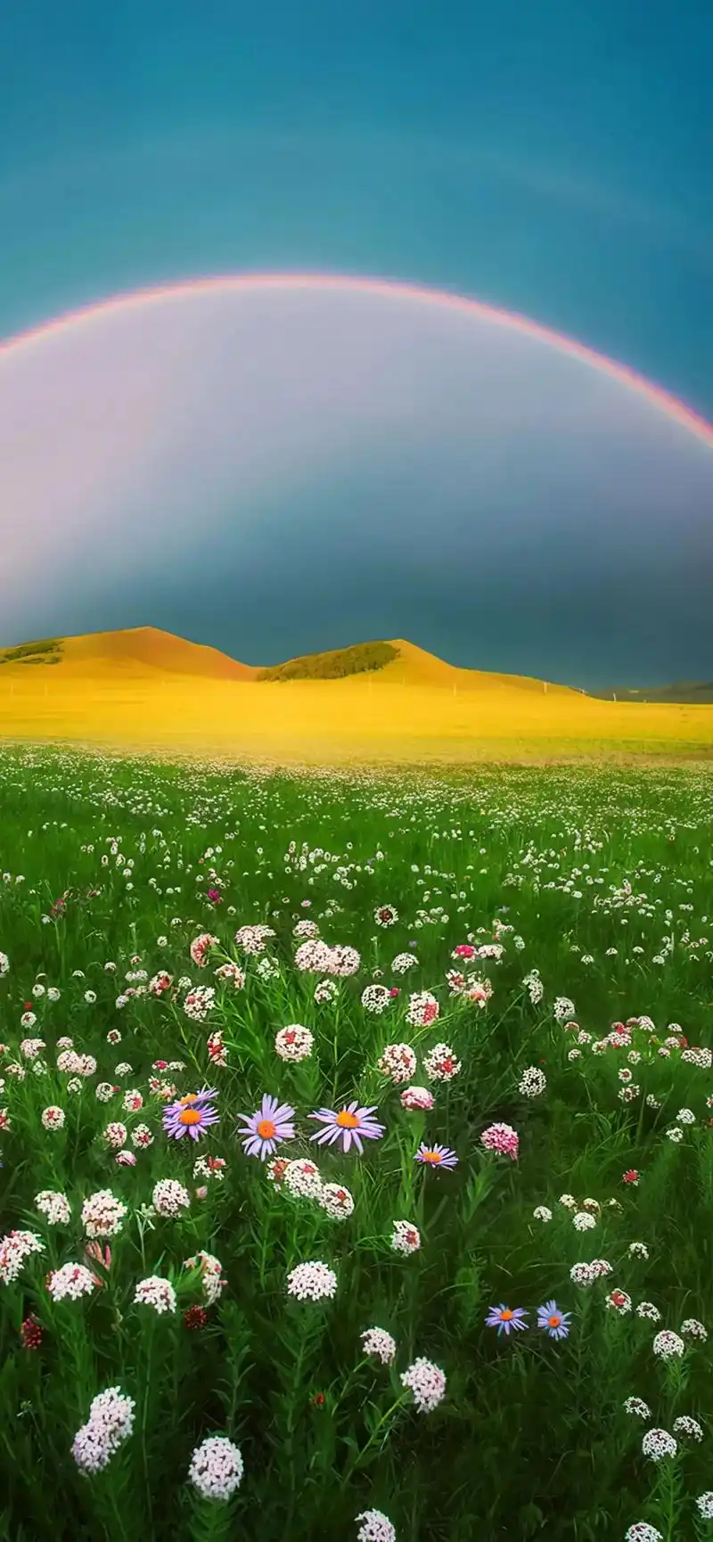 高清风景壁纸屏保点击