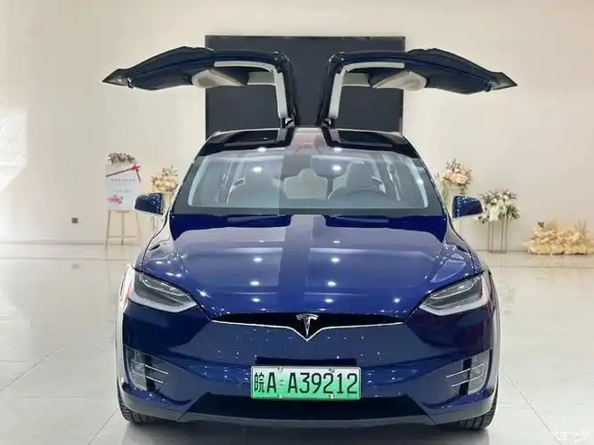 出售一台特斯拉毛豆x美国进口双翼门