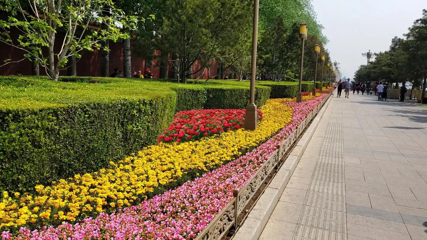 长安街国庆花坛效果图.#我为祖国喝彩 #生活处处是风景 #国 - 抖音