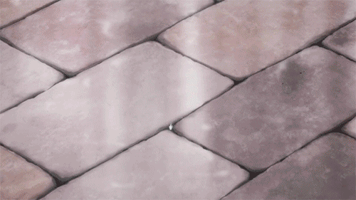 500_281gif 动态图 动图