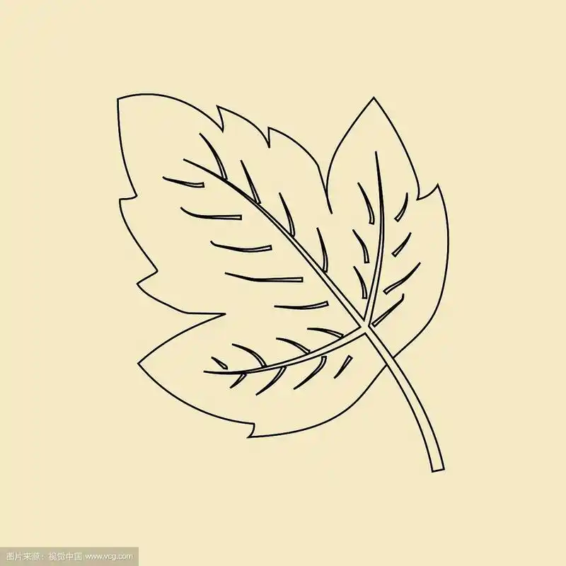 葡萄叶的图标